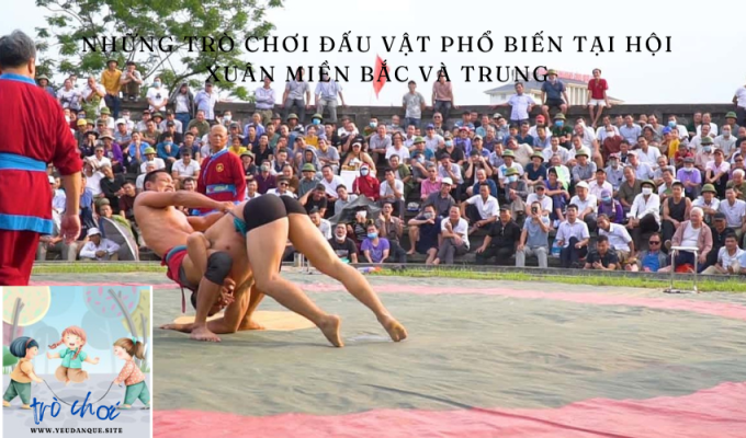 Popular wrestling games at spring festivals in the North and Central regions